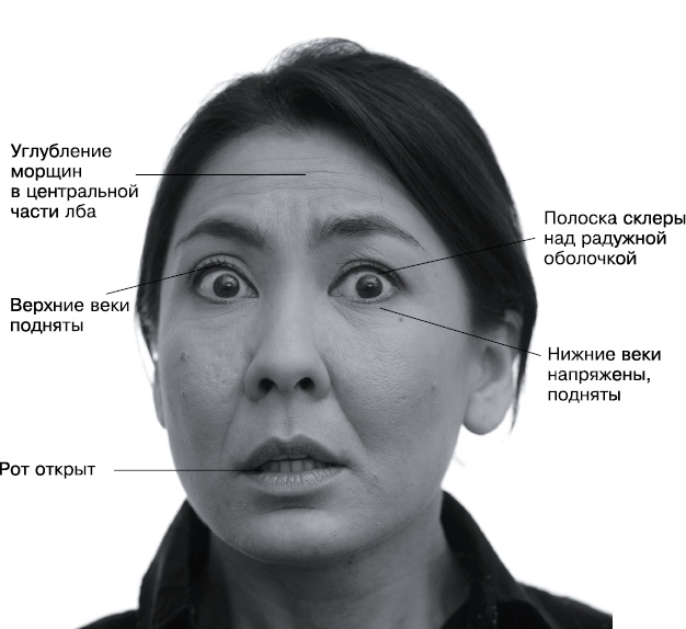 Иллюстрация к книге — Психология лжи и обмана. Как разоблачить лжеца [i_038.jpg]