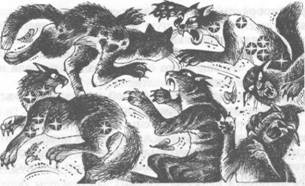 Иллюстрация к книге — Коты-воители. Главная надежда [image056.jpg]