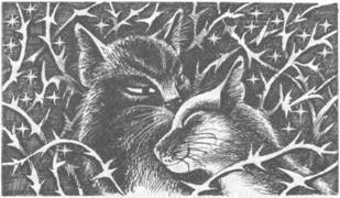 Иллюстрация к книге — Коты-воители. Главная надежда [pic_14.jpg]