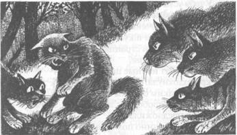 Иллюстрация к книге — Коты-воители. Главная надежда [pic_16.jpg]