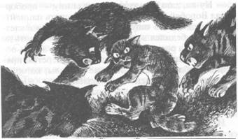 Иллюстрация к книге — Коты-воители. Главная надежда [pic_18.jpg]