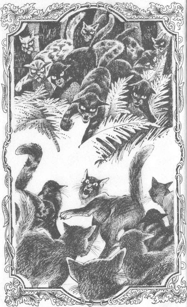 Иллюстрация к книге — Коты-воители. Главная надежда [pic_2.jpg]