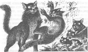 Иллюстрация к книге — Коты-воители. Главная надежда [pic_20.jpg]