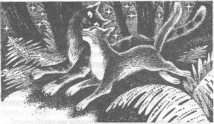 Иллюстрация к книге — Коты-воители. Главная надежда [pic_22.jpg]