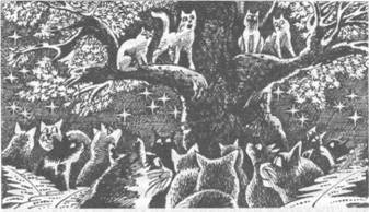 Иллюстрация к книге — Коты-воители. Главная надежда [pic_30.jpg]