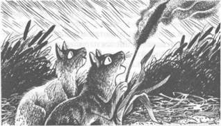 Иллюстрация к книге — Коты-воители. Главная надежда [pic_34.jpg]