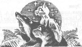 Иллюстрация к книге — Коты-воители. Главная надежда [pic_4.jpg]