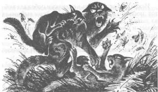 Иллюстрация к книге — Коты-воители. Главная надежда [pic_54.jpg]