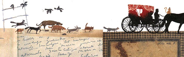 Иллюстрация к книге — Фердинанд и Пуш [i_007.jpg]