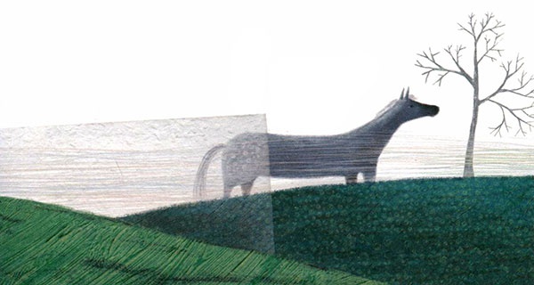 Иллюстрация к книге — Фердинанд и Пуш [i_026.jpg]