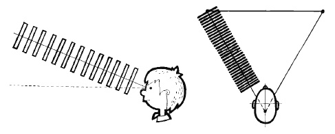 Иллюстрация к книге — Разблокируй свою память. Запомни все! [i_023.jpg]