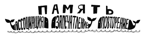 Иллюстрация к книге — Разблокируй свою память. Запомни все! [i_027.jpg]