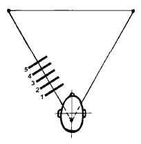 Иллюстрация к книге — Разблокируй свою память. Запомни все! [i_037.jpg]