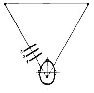 Иллюстрация к книге — Разблокируй свою память. Запомни все! [i_039.jpg]