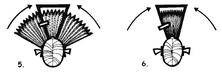 Иллюстрация к книге — Разблокируй свою память. Запомни все! [i_050.jpg]