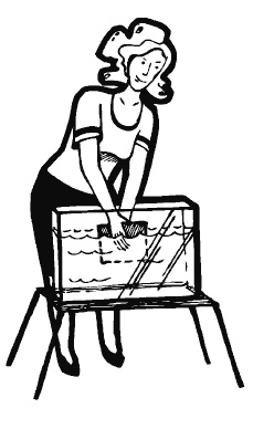 Иллюстрация к книге — Разблокируй свою память. Запомни все! [i_058.jpg]