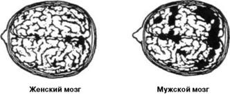 Иллюстрация к книге — Почему мужчины врут, а женщины ревут [image009.jpg]