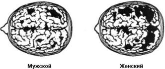 Иллюстрация к книге — Почему мужчины врут, а женщины ревут [image013.jpg]