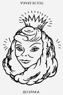 Иллюстрация к книге — Почему мужчины врут, а женщины ревут [image015.jpg]