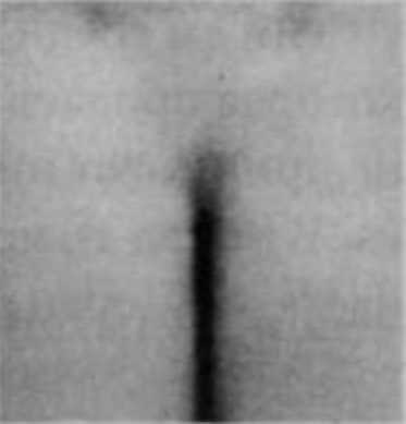 Иллюстрация к книге — Почему мужчины врут, а женщины ревут [image019.jpg]