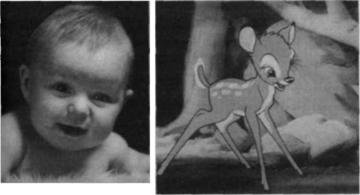 Иллюстрация к книге — Почему мужчины врут, а женщины ревут [image029.jpg]