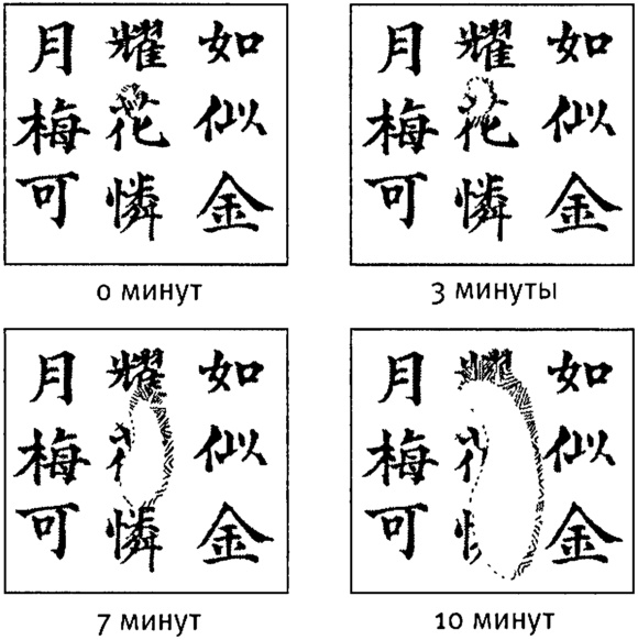 Иллюстрация к книге — Мозг и душа. Как нервная деятельность формирует наш внутренний мир [i_012.jpg]