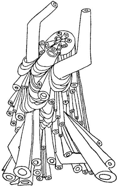 Иллюстрация к книге — Мозг и душа. Как нервная деятельность формирует наш внутренний мир [i_016.jpg]