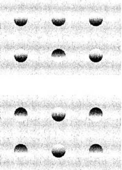 Иллюстрация к книге — Мозг и душа. Как нервная деятельность формирует наш внутренний мир [i_051.jpg]