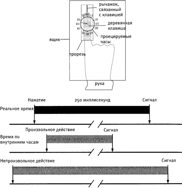 Иллюстрация к книге — Мозг и душа. Как нервная деятельность формирует наш внутренний мир [i_063.jpg]