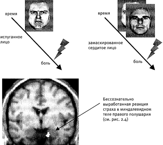 Иллюстрация к книге — Мозг и душа. Как нервная деятельность формирует наш внутренний мир [i_068.jpg]