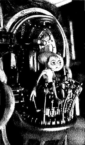 Иллюстрация к книге — Мозг и душа. Как нервная деятельность формирует наш внутренний мир [i_074.jpg]