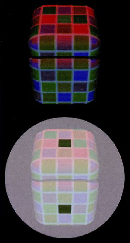 Иллюстрация к книге — Мозг и душа. Как нервная деятельность формирует наш внутренний мир [i_084.jpg]