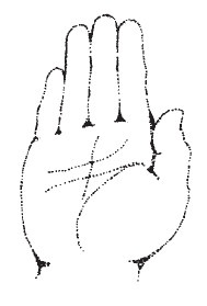 Иллюстрация к книге — Лицо - зеркало души. Физиогномика для всех [i_006.jpg]