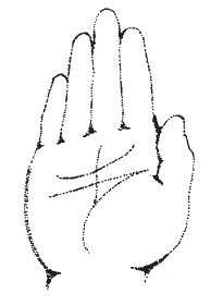 Иллюстрация к книге — Лицо - зеркало души. Физиогномика для всех [i_007.jpg]