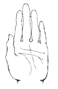 Иллюстрация к книге — Лицо - зеркало души. Физиогномика для всех [i_009.jpg]