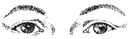 Иллюстрация к книге — Лицо - зеркало души. Физиогномика для всех [i_026.jpg]