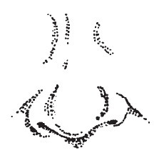 Иллюстрация к книге — Лицо - зеркало души. Физиогномика для всех [i_033.jpg]