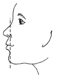 Иллюстрация к книге — Лицо - зеркало души. Физиогномика для всех [i_045.jpg]