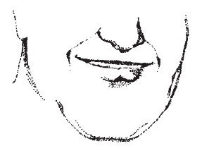 Иллюстрация к книге — Лицо - зеркало души. Физиогномика для всех [i_052.jpg]