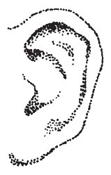 Иллюстрация к книге — Лицо - зеркало души. Физиогномика для всех [i_056.jpg]