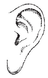 Иллюстрация к книге — Лицо - зеркало души. Физиогномика для всех [i_057.jpg]