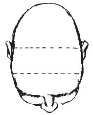 Иллюстрация к книге — Лицо - зеркало души. Физиогномика для всех [i_074.jpg]