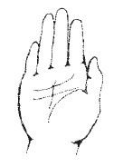 Иллюстрация к книге — Лицо - зеркало души. Физиогномика для всех [i_131.jpg]