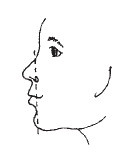 Иллюстрация к книге — Лицо - зеркало души. Физиогномика для всех [i_134.jpg]