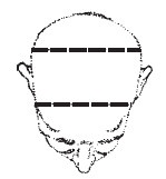 Иллюстрация к книге — Лицо - зеркало души. Физиогномика для всех [i_138.jpg]