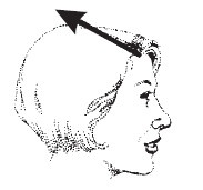 Иллюстрация к книге — Лицо - зеркало души. Физиогномика для всех [i_148.jpg]