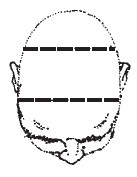 Иллюстрация к книге — Лицо - зеркало души. Физиогномика для всех [i_151.jpg]