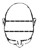 Иллюстрация к книге — Лицо - зеркало души. Физиогномика для всех [i_152.jpg]