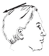 Иллюстрация к книге — Лицо - зеркало души. Физиогномика для всех [i_153.jpg]