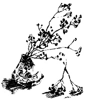 Иллюстрация к книге — Мастерская чудес [i_006.jpg]